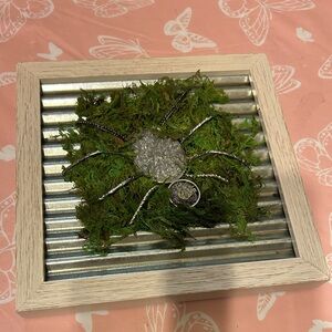 Decorative Spider Wall Art with Moss one of a kind